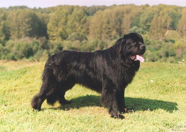 Фотография № 8025