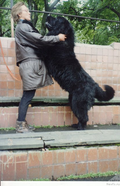 Фотография № 80253