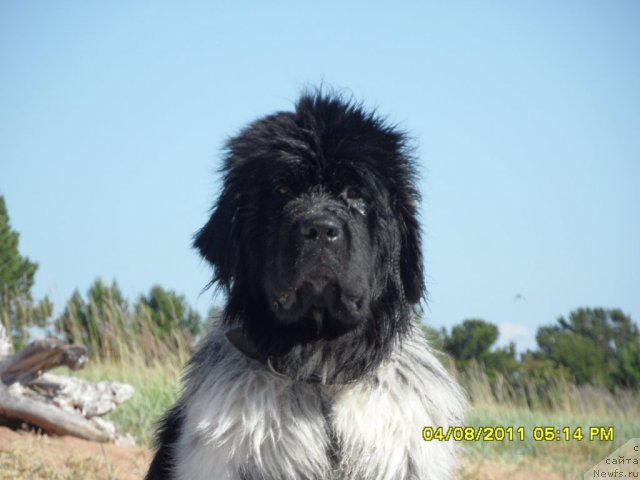 Фотография № 80256