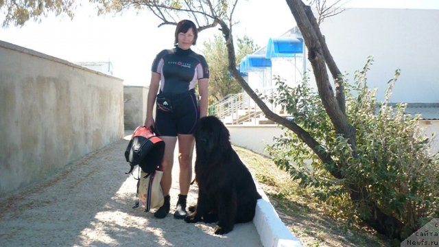 Фотография № 80264