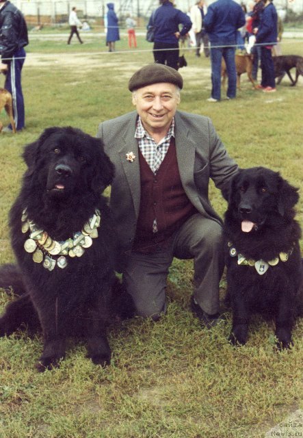 Фото: ньюфаундленд Patrik SHalel' (Патрик Шалель)