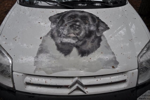 Фотография № 80273