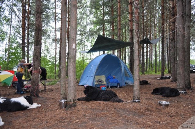 Фотография № 80277