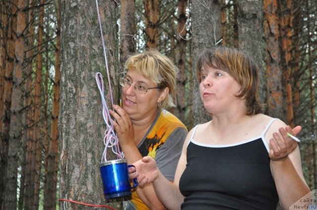 Фотография № 80281