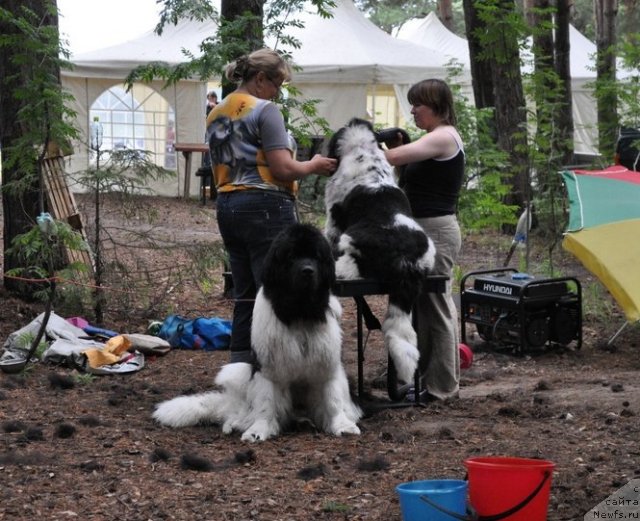 Фотография № 80282