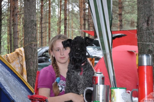 Фотография № 80283