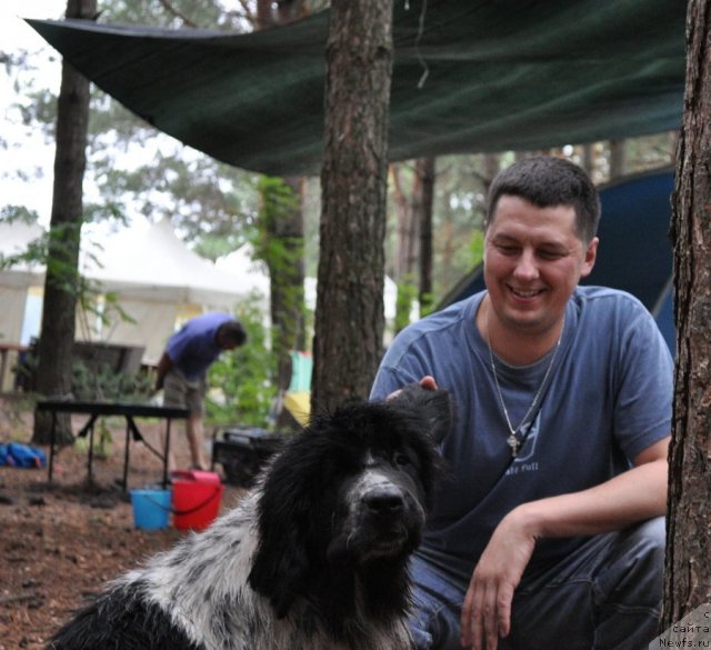 Фотография № 80290