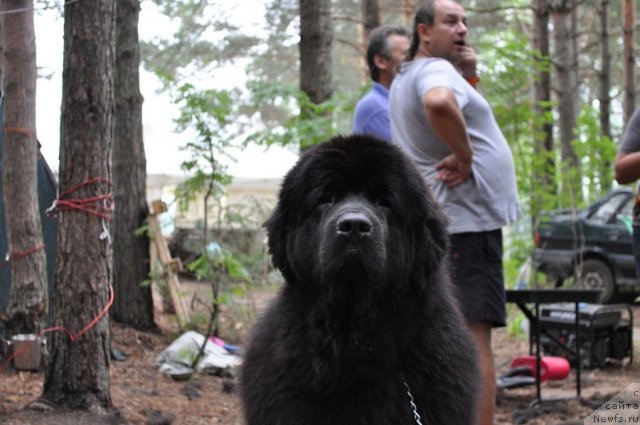 Фотография № 80292