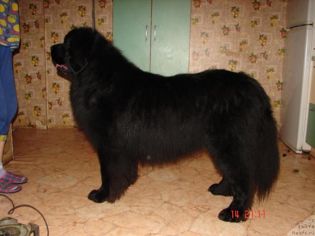 Фото: Elena Vorob'yova (Елена Воробьёва)