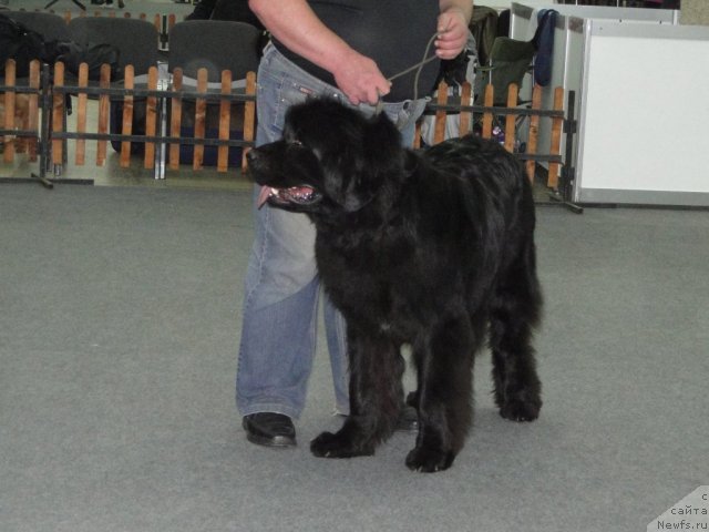 Фотография № 80342