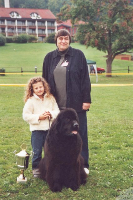 Фото: ньюфаундленд And I'm Great To Be Back, Natal'ya Potehina (Наталья Потехина), Мишель Салина