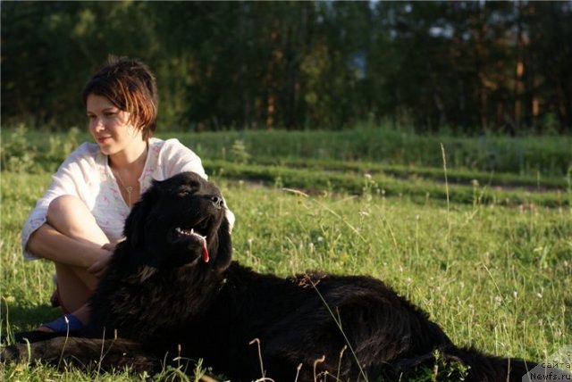 Фотография № 80373