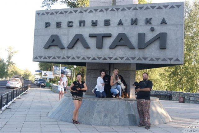 Фотография № 80374