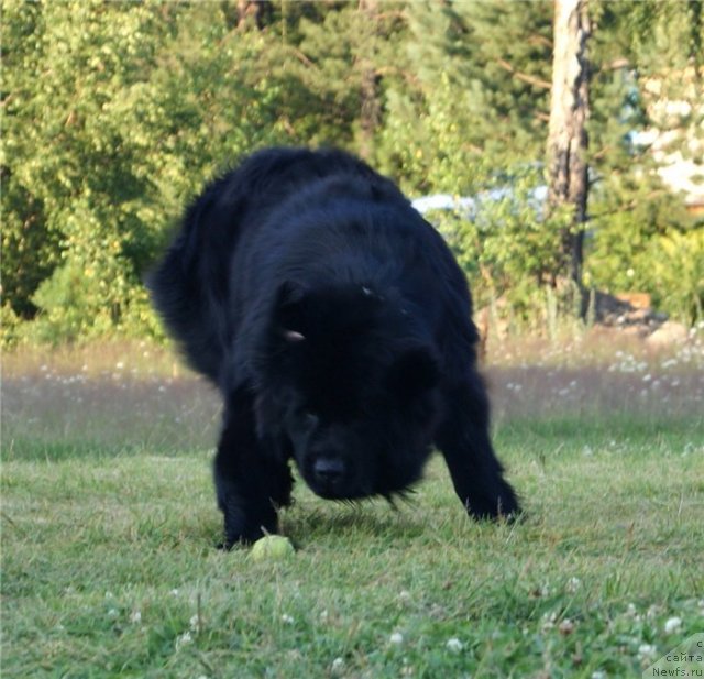 Фотография № 80382