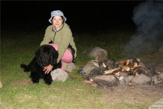 Фотография № 80393