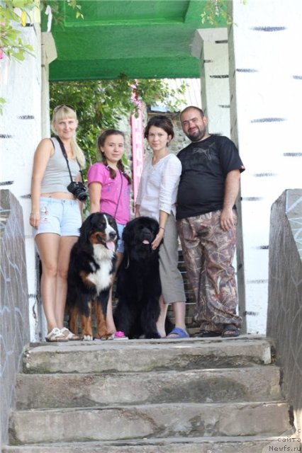 Фотография № 80394