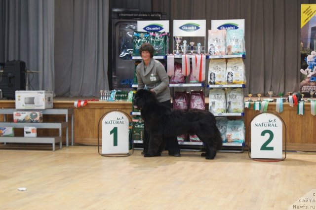 Фотография № 80422