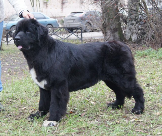 Фотография № 80423