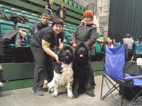 Фотография № 80436