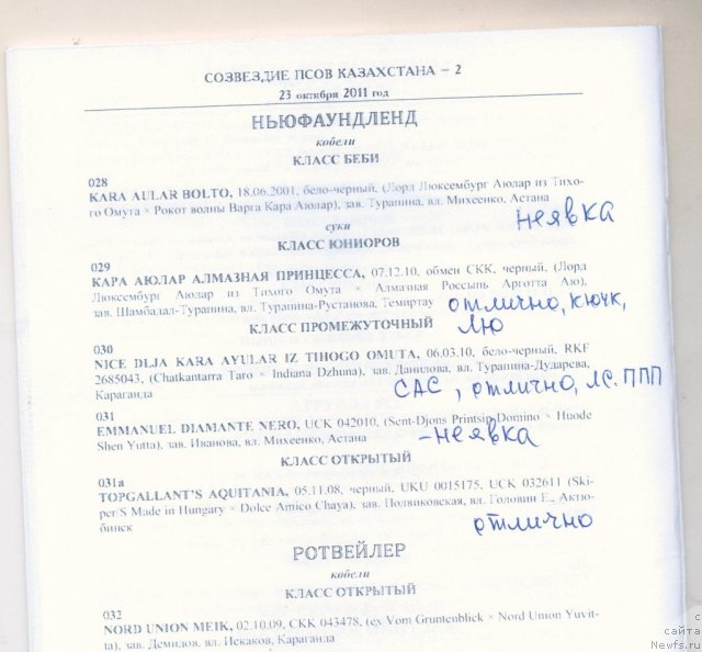 Фотография № 80449