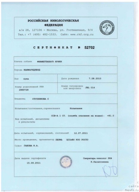 Фото: ньюфаундленд Fiamettahauz  Nunki (Фиаметтахауз Нунки)