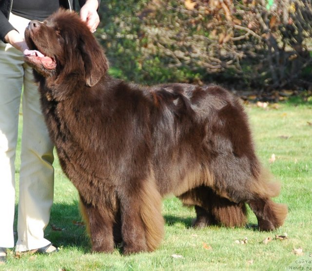 Фото: Zaria z Lednickiego Zakola