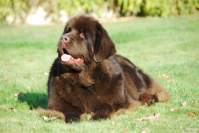 Фото: Zaria z Lednickiego Zakola