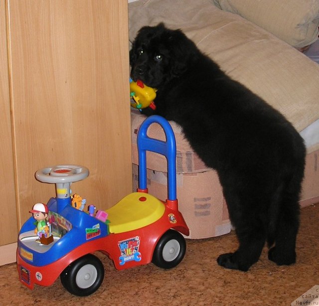 Фото: Повелитель морей из Тихого омута