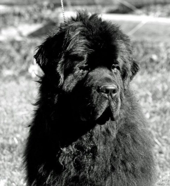 Фотография № 80552