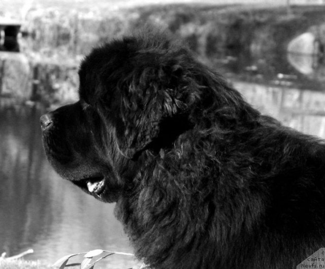 Фотография № 80553