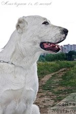 Фото: Valeriya Gulyaeva (Валерия Гуляева)