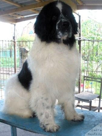 Фото: Elena Preys (Елена Прейс)