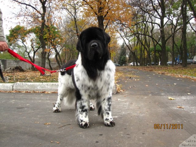 Фотография № 80614