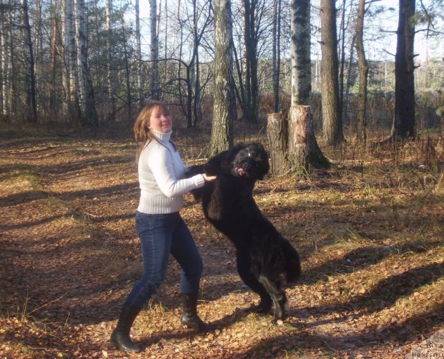 Фото: Lyubov' Panova (Любовь Панова)