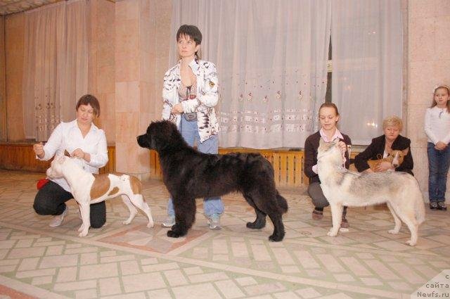 Фотография № 80621