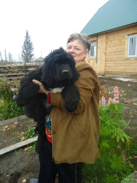 Фотография № 80648