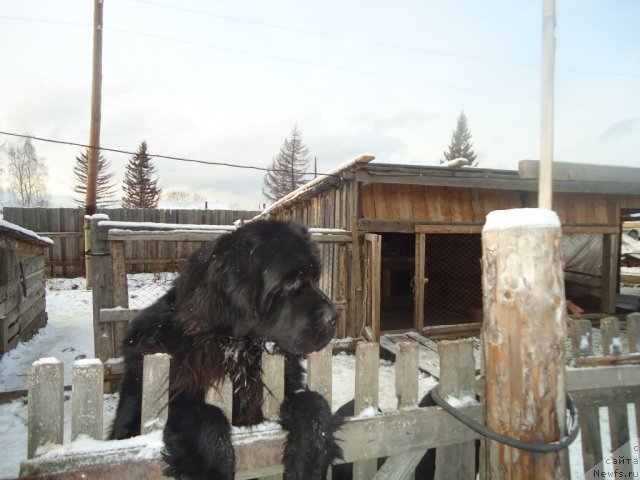 Фотография № 80651