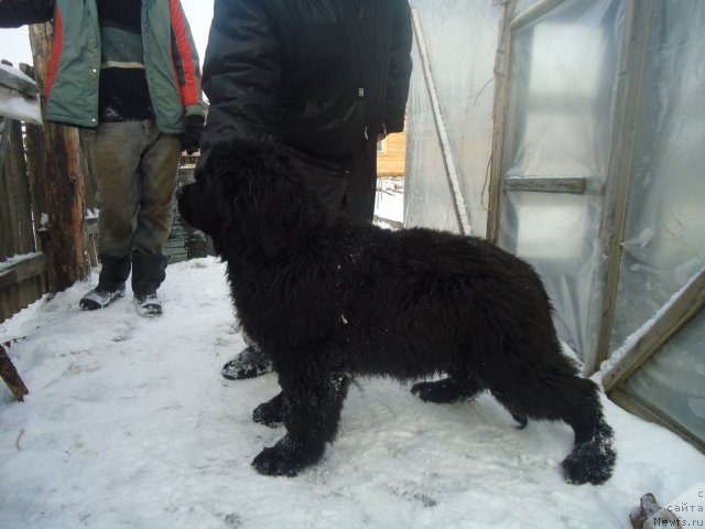 Фотография № 80652