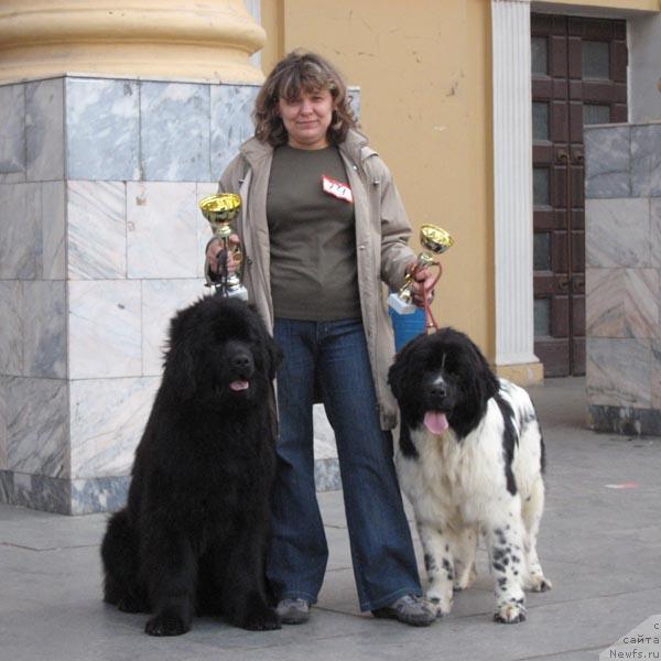 Фото: ньюфаундленд Zhemchuzhina Rostova s Berega Dona (Жемчужина Ростова с Берега Дона), ньюфаундленд Plushevaya Panda Deniza Dlja  Berega Dona (Плюшевая Панда Дениза для Берега Дона), Natal'ya Tatarinova (Наталья Татаринова)