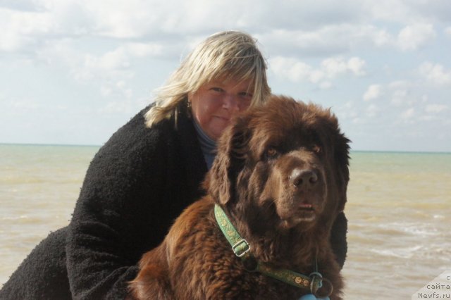 Фото: Natal'ya Malinina (Наталья Малинина), ньюфаундленд Smigar Rishel Lady Fortuna (Смигар Ришель Леди Фортуна)