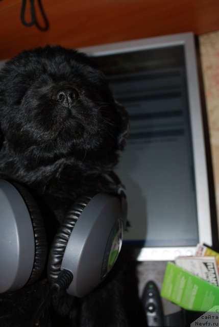 Фото: Natal'ya Smirnova (Наталья Смирнова)