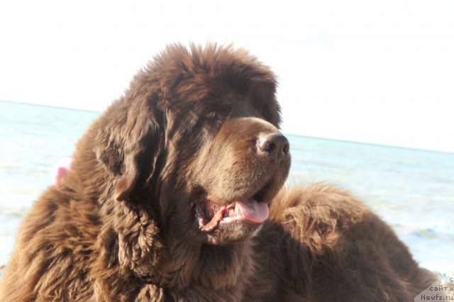 Фотография № 80768