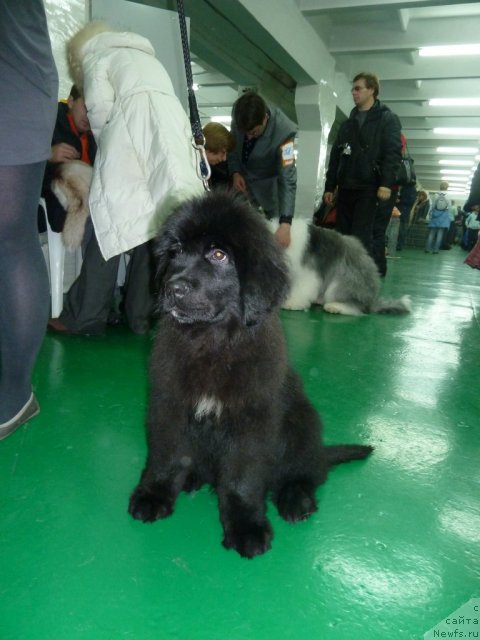 Фотография № 80806