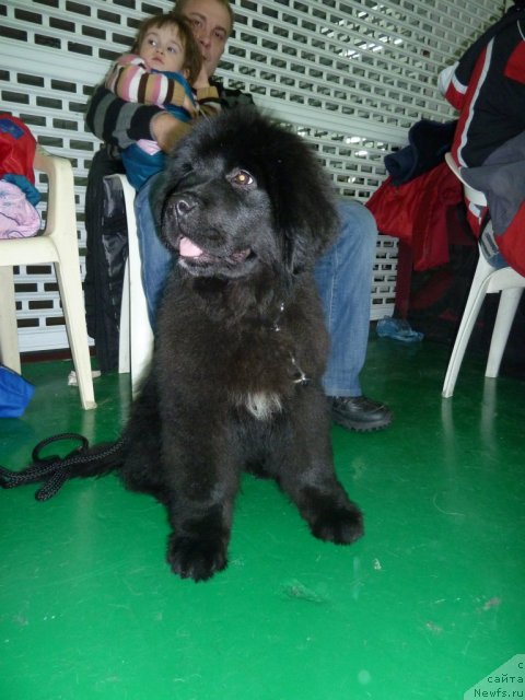 Фотография № 80807