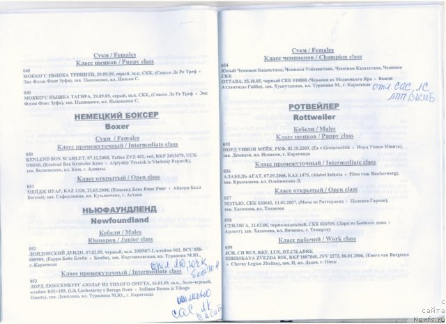 Фотография № 80827