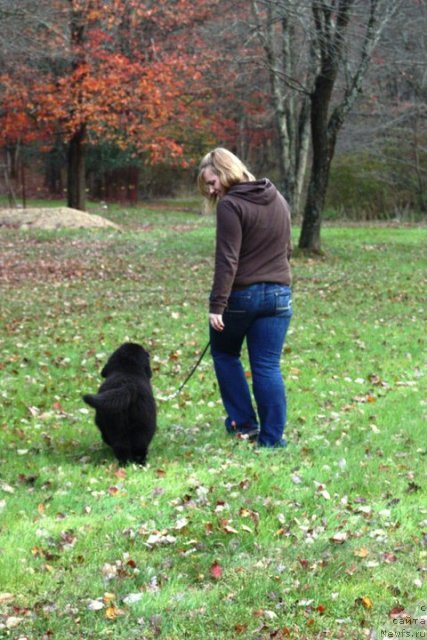 Фотография № 80830