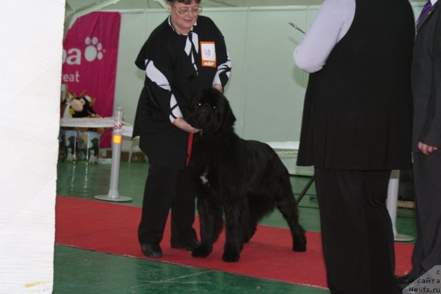 Фотография № 80866