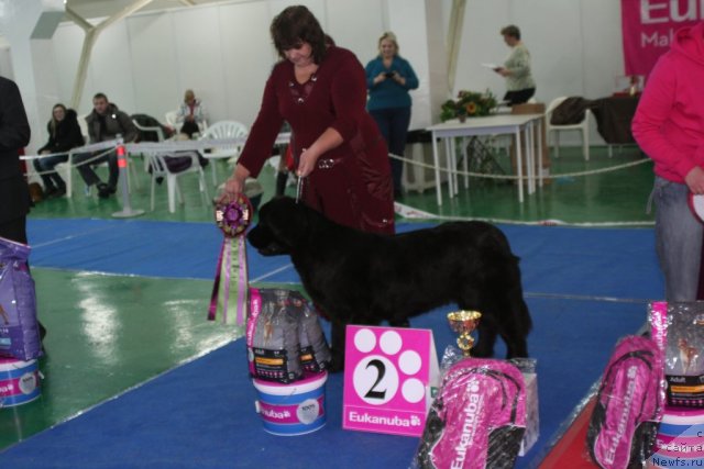 Фотография № 80869