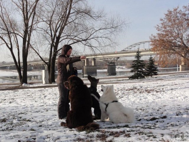 Фото: [d8814]Киви, Ляля, YElina YUnusova (Элина Юнусова)