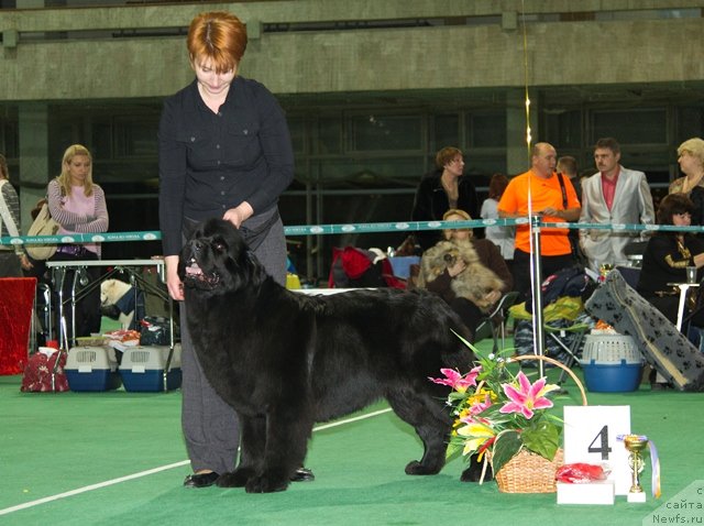 Фотография № 80924